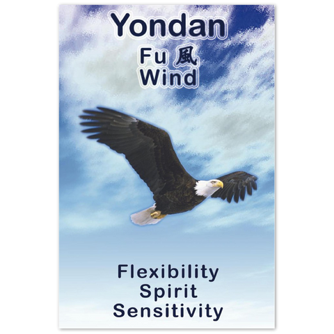 Seibukan Jujutsu Yondan Eagle Power Animal Aluminum Print 12x18