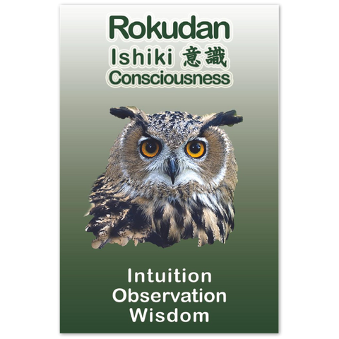 Seibukan Jujutsu Rokudan Owl Power Animal Aluminum Print 12x18