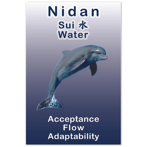 Seibukan Jujutsu Nidan Dolphin Power Animal Aluminum Print 12x18