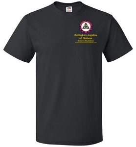 SJ of Solano & Modern Warrior Academy Unisex TShirt