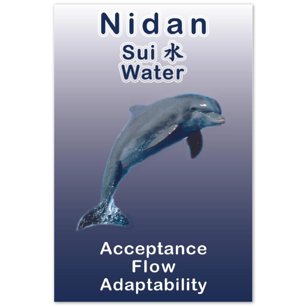 Seibukan Jujutsu Nidan Dolphin Power Animal Aluminum Print 12x18