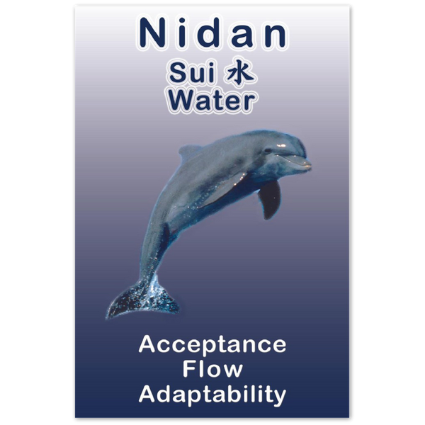 Seibukan Jujutsu Nidan Dolphin Power Animal Aluminum Print 12x18