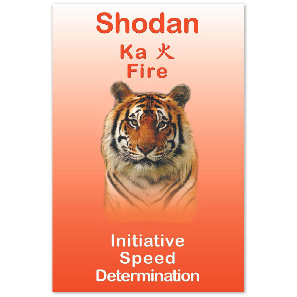 Seibukan Jujutsu Shodan Tiger Power Animal Aluminum Print 12x18