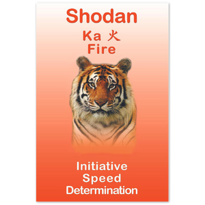 Seibukan Jujutsu Shodan Tiger Power Animal Aluminum Print 12x18