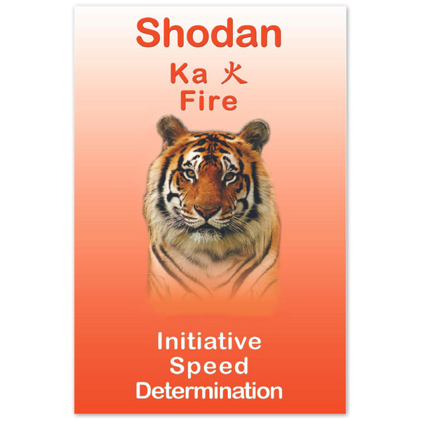 Seibukan Jujutsu Shodan Tiger Power Animal Aluminum Print 12x18