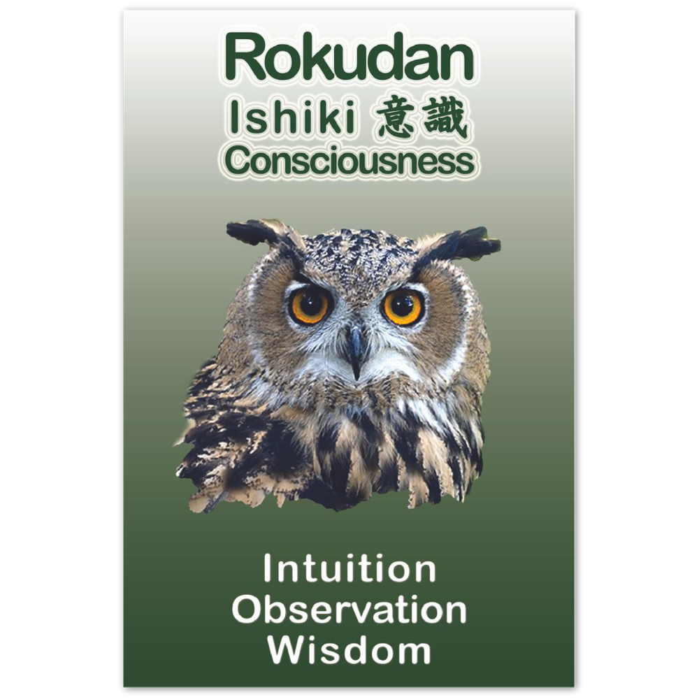 Seibukan Jujutsu Rokudan Owl Power Animal Aluminum Print 12x18