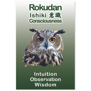 Seibukan Jujutsu Rokudan Owl Power Animal Aluminum Print 12x18